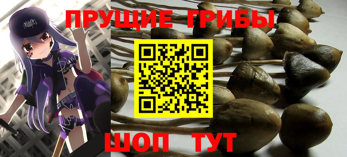 где можно купить   Псилоцибиновые грибы Psilocybe  Галлюциногенные грибы GOLDEN TEACHER  Вход с VPN  Лениногорск 